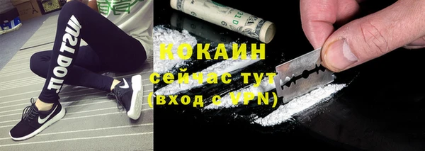 твердый Абаза