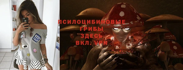твердый Абаза