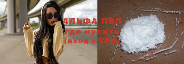 твердый Абаза