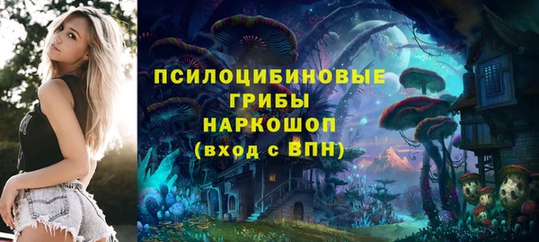 крисы Абдулино