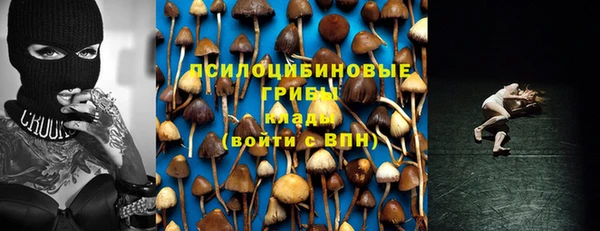 твердый Абаза