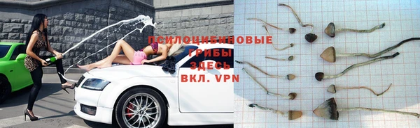 твердый Абаза