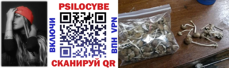 OMG зеркало  Касимов  Псилоцибиновые грибы Psilocybe 